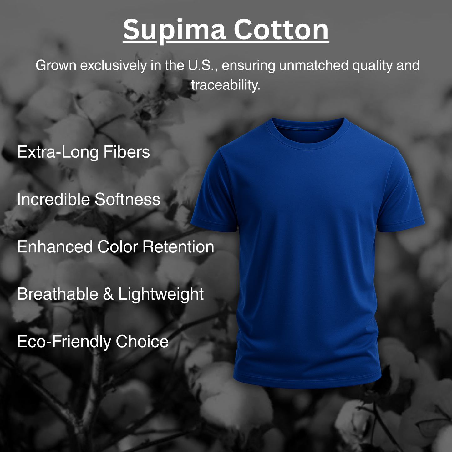 Gymgasm Supima Blue T-shirt