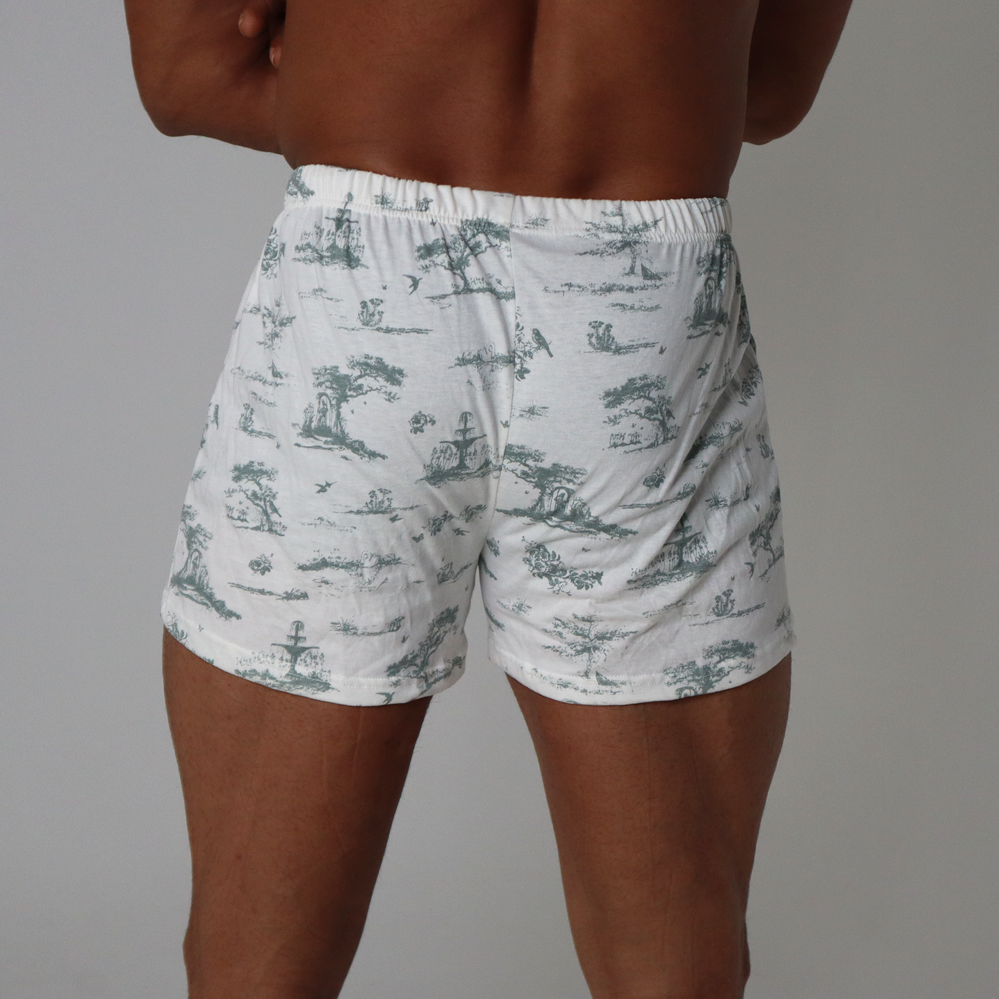 Artistic Trees Boxer