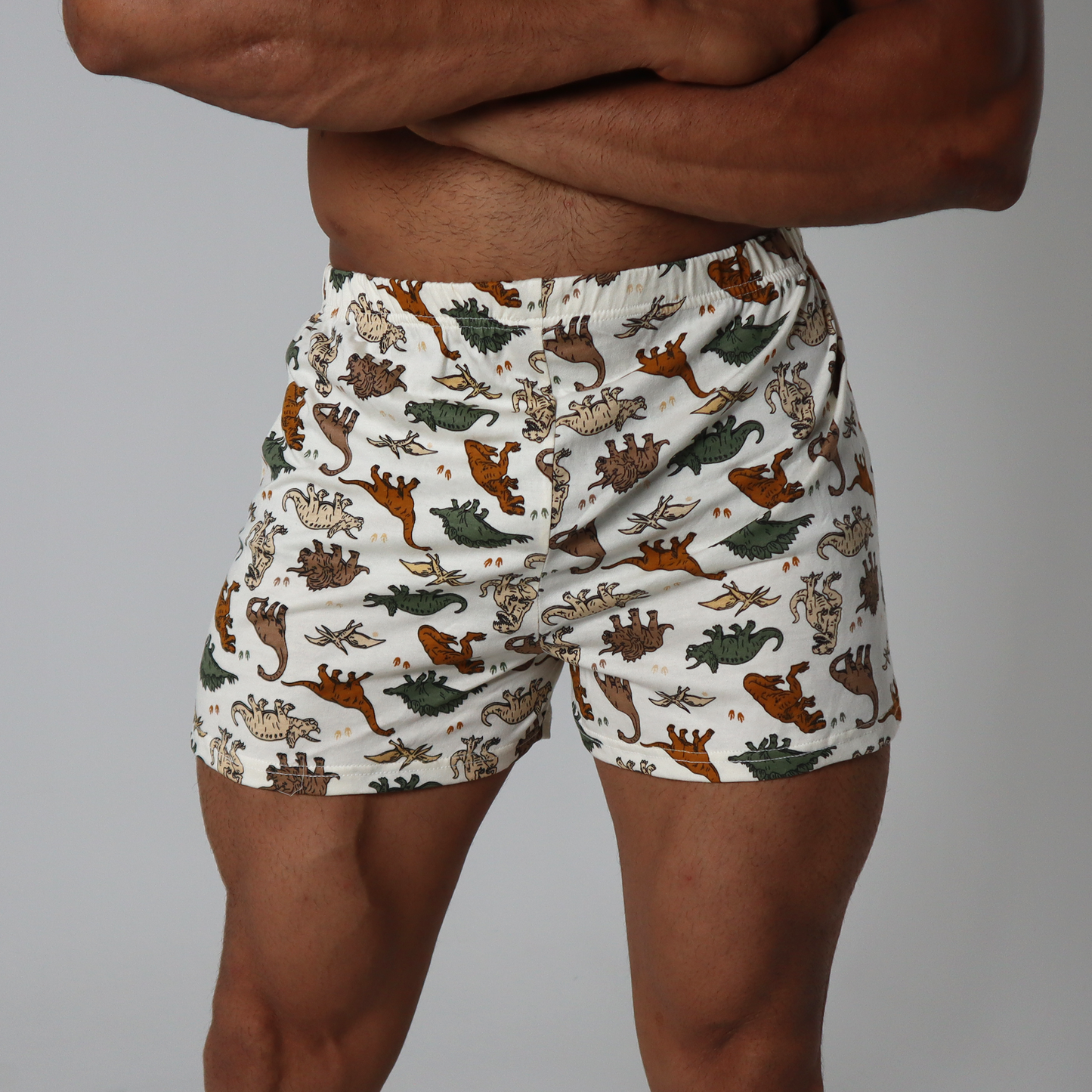 Dinosaur Printed Shorts