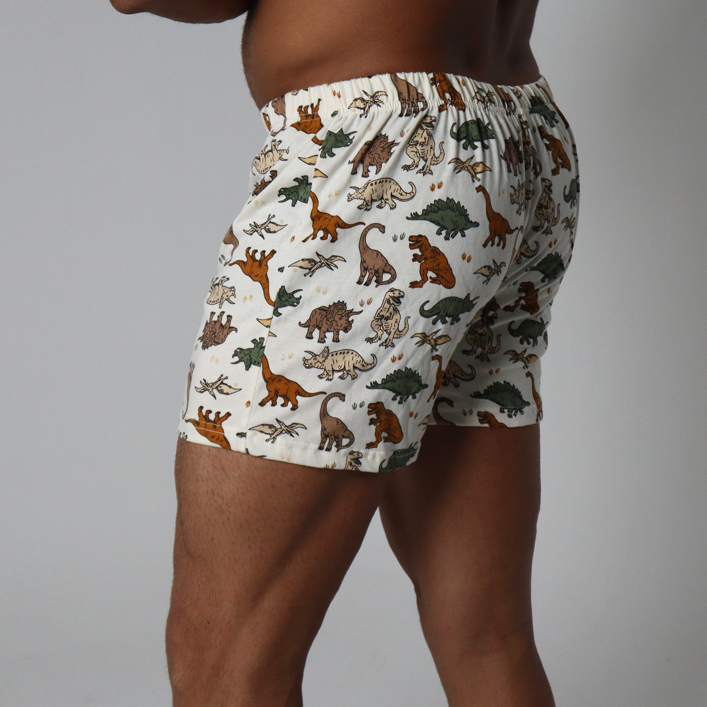 Dinosaur Printed Shorts