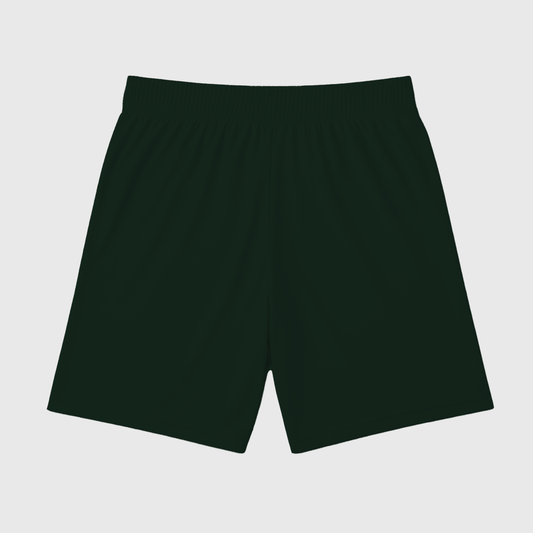 Attack on Titan Shorts