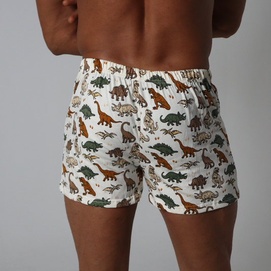 Dinosaur Printed Shorts