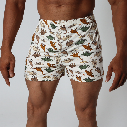 Dinosaur Printed Shorts