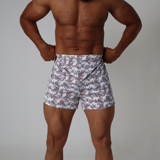 Traditional Arts Boxer